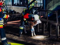 2025-02-b4-milbertshofen-7