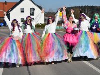 250302 Steinkirchen Faschingszug Foto Alfred Raths  (01)