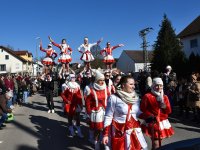 250302 Steinkirchen Faschingszug Foto Alfred Raths  (03)