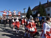 250302 Steinkirchen Faschingszug Foto Alfred Raths  (04)