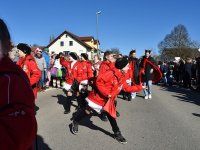 250302 Steinkirchen Faschingszug Foto Alfred Raths  (06)