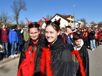 250302 Steinkirchen Faschingszug Foto Alfred Raths  (09)