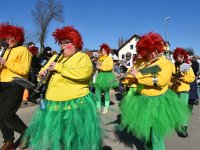 250302 Steinkirchen Faschingszug Foto Alfred Raths  (10)