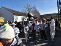 250302 Steinkirchen Faschingszug Foto Alfred Raths  (13)