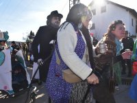 250302 Steinkirchen Faschingszug Foto Alfred Raths  (23)