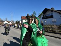 250302 Steinkirchen Faschingszug Foto Alfred Raths  (36)