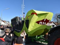 250302 Steinkirchen Faschingszug Foto Alfred Raths  (40)