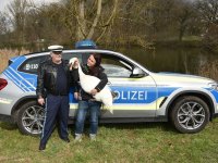 250401 Scheyern Schwan Foto Alfred Raths (07)