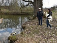 250401 Scheyern Schwan Foto Alfred Raths (09)