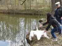 250401 Scheyern Schwan Foto Alfred Raths (12)