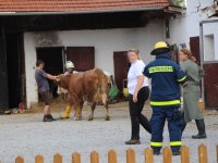 1-02_20160902_Unfall_Kuhlstall_Inkofen