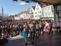 Foto Alfred Raths250304 Paf Faschingstreiben Foto Alfred Raths (A1) (05)1