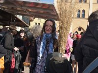 Foto Alfred Raths250304 Paf Faschingstreiben Foto Alfred Raths (A1) (55)1