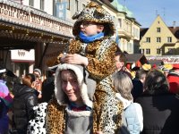 Foto Alfred Raths250304 Paf Faschingstreiben Foto Alfred Raths (A1) (63)1