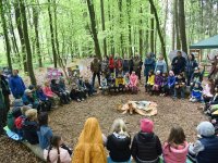 220506 Pfaffenhofen Schulwald SDW-Projekt Foto Alfred Raths  (03)