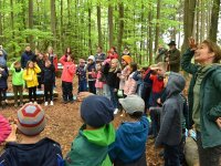 220506 Pfaffenhofen Schulwald SDW-Projekt Foto Alfred Raths  (06)