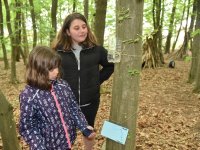 220506 Pfaffenhofen Schulwald SDW-Projekt Foto Alfred Raths  (09)