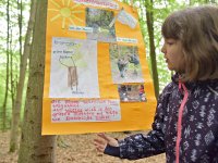 220506 Pfaffenhofen Schulwald SDW-Projekt Foto Alfred Raths  (12)