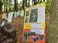 220506 Pfaffenhofen Schulwald SDW-Projekt Foto Alfred Raths  (16)