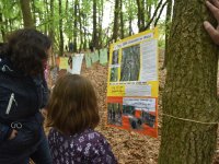 220506 Pfaffenhofen Schulwald SDW-Projekt Foto Alfred Raths  (17)