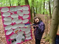 220506 Pfaffenhofen Schulwald SDW-Projekt Foto Alfred Raths  (19)