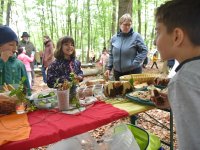 220506 Pfaffenhofen Schulwald SDW-Projekt Foto Alfred Raths  (22)