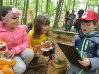 220506 Pfaffenhofen Schulwald SDW-Projekt Foto Alfred Raths  (24)