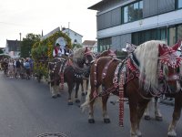 CSD 240810 kleinDSC_70261