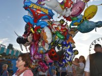 CSD 240810 kleinDSC_70721