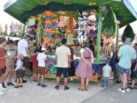 CSD 240810 kleinDSC_70801