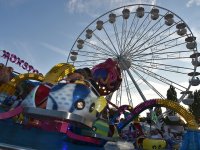 CSD 240810 kleinDSC_70811