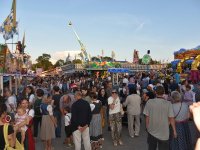 CSD 240810 kleinDSC_70841