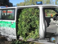 43180756_2021384341254977_2915253526546350080_o