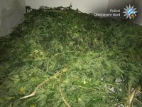 43201697_2021384351254976_8829700007427833856_o