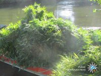 43222145_2021384384588306_2994947855904407552_o