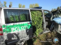 43263209_2021384331254978_5268789033730834432_o