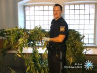 43277900_2021384327921645_2309469524979613696_o