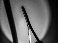 Licht und Schatten_Dirk Schönowsky_Annahme