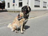 230507 Hohenwart Feuerwehrtag Foto Alfred Raths (90)