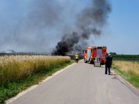 2023-07-07_Vifogra_ID5980_Brand_Langenmosen_04