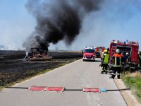 2023-07-07_Vifogra_ID5980_Brand_Langenmosen_05