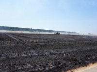 2023-07-07_Vifogra_ID5980_Brand_Langenmosen_10