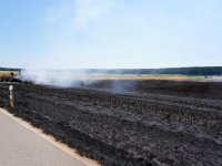 2023-07-07_Vifogra_ID5980_Brand_Langenmosen_11