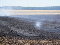 2023-07-07_Vifogra_ID5980_Brand_Langenmosen_13