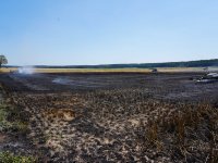 2023-07-07_Vifogra_ID5980_Brand_Langenmosen_14