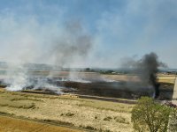 2023-07-07_Vifogra_ID5980_Brand_Langenmosen_24