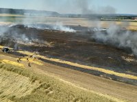 2023-07-07_Vifogra_ID5980_Brand_Langenmosen_30