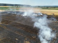 2023-07-07_Vifogra_ID5980_Brand_Langenmosen_32