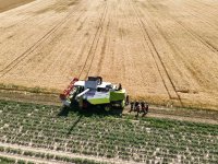 2023-07-07_Vifogra_ID5980_Brand_Langenmosen_48