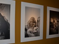 1000DSC_1121Foto Alfred Raths